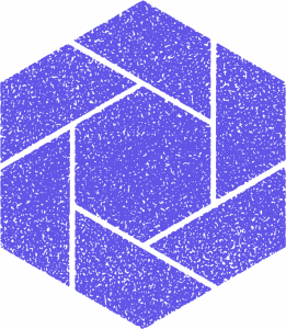 hexagon icon 2