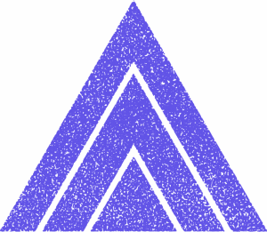 triangle icon 2
