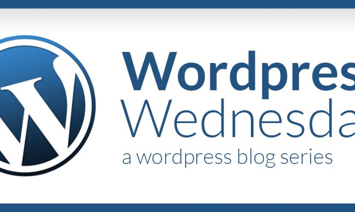 WordPress Wednesday: The Best Hosting For Your WordPress Website